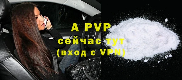 круглые Белокуриха