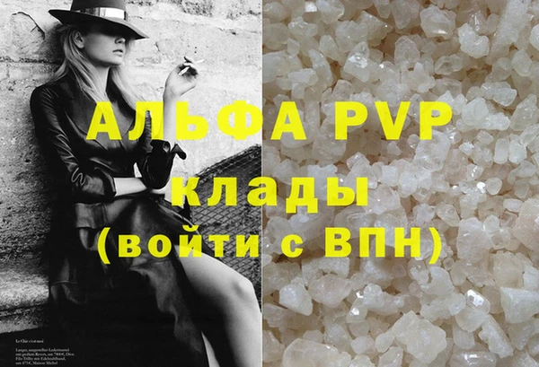 мяу мяу мука Баксан